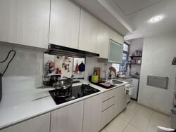 Oasis @ Elias (D18), Condominium #528237481